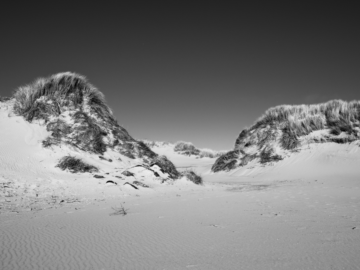 _3314542-HDR_34 mm_R_SRGB_3M